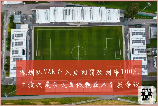 深圳队VAR介入后判罚改判率100%,主裁判是否过度依赖技术引发争议