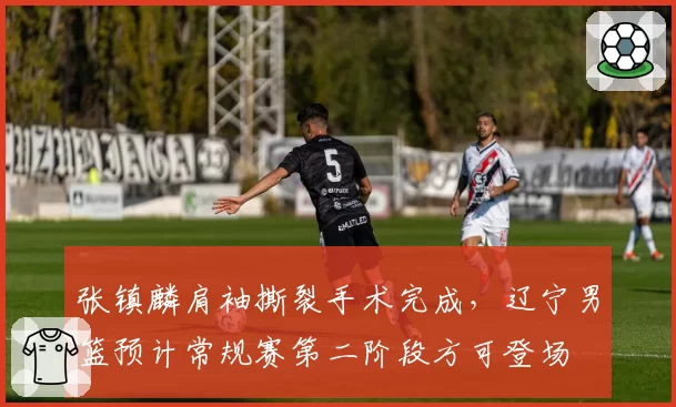张镇麟肩袖撕裂手术完成，辽宁男篮预计常规赛第二阶段方可登场
