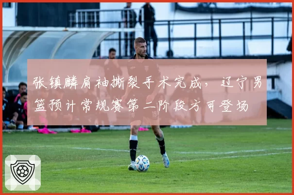 张镇麟肩袖撕裂手术完成，辽宁男篮预计常规赛第二阶段方可登场